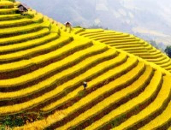 HANOI TO SAPA TOUR - 6 DAYS / 5 NIGHTS